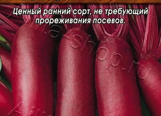 Свекла Одноростковая. Одноростковая свекла что это.