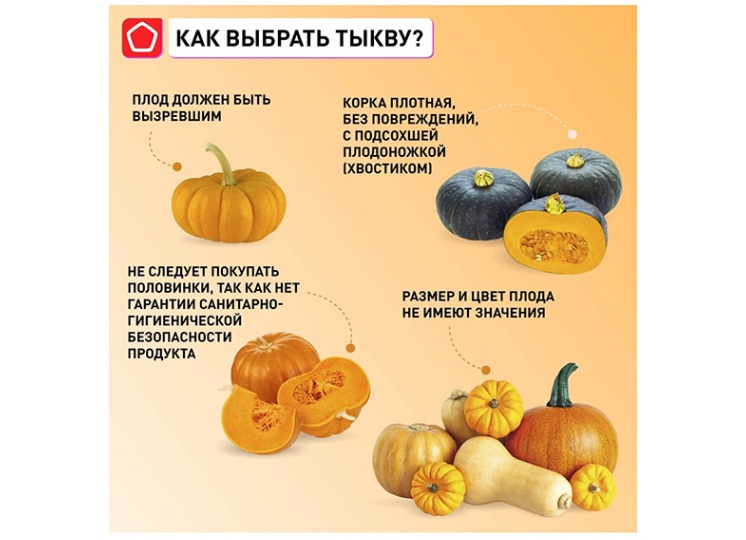 Как выбрать вкусную и сладкую тыкву