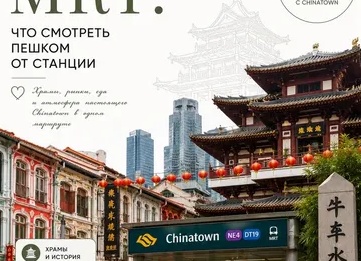 Голландская неразбериха или кактус микс