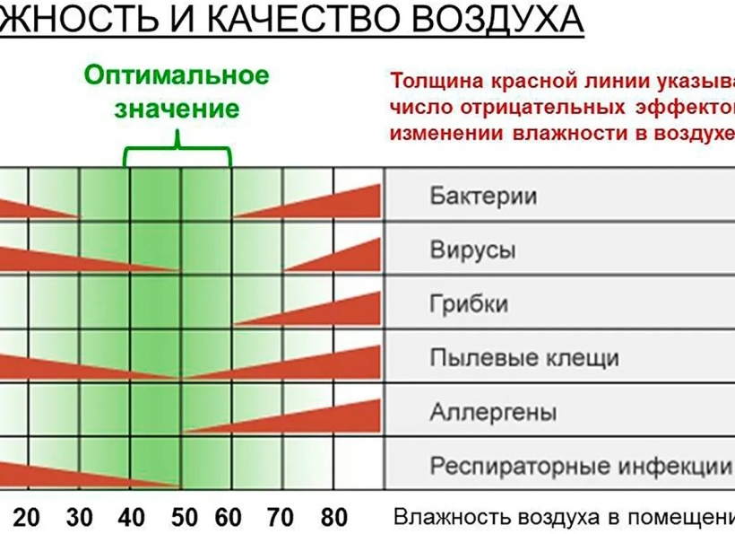 Влияние влажности воздуха на здоровье человека: какую опасность таит излишне высокая или низкая влажность. Как влияет на человека высокая влажность воздуха.