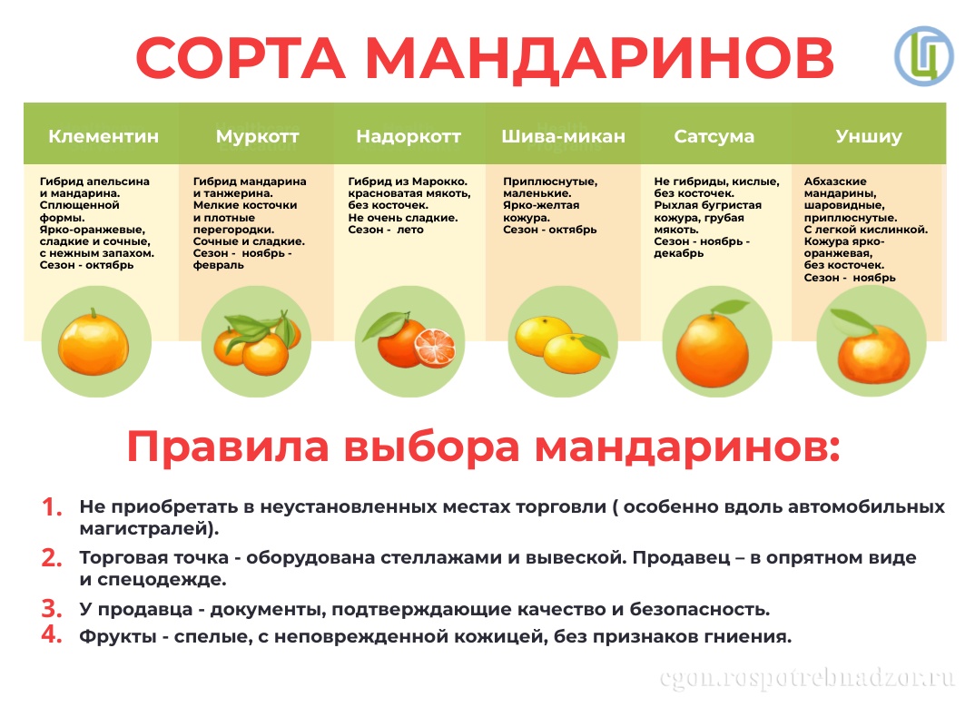 Виды и сорта мандаринов: фото и описание, названия. Красные мандарины как называются.