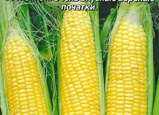 Сажаем на даче детское лакомство — сахарный горох. Когда сажать горох в открытый грунт.