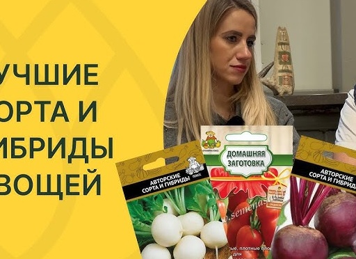 10 лучших сортов и гибридов репчатого лука (описание и фото)