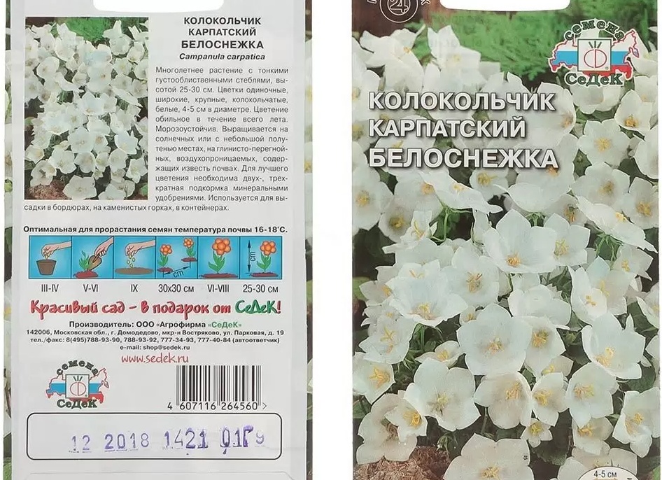 Подкормка петунии для пышного цветения: 8 лучших удобрений