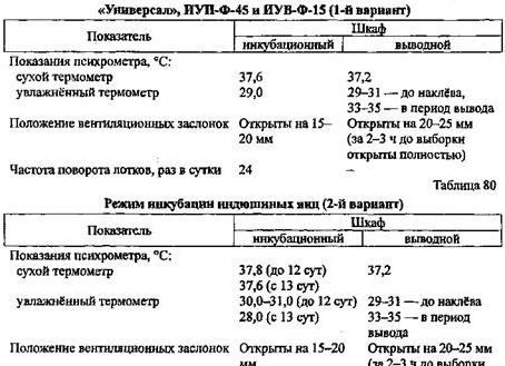 Инкубация индюшиных яиц. Сколько выводится индюшиное яйцо в инкубаторе.