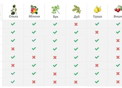Как выбрать щепу для копчения