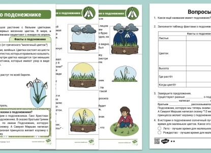 Подснежник (Галантус). Какого цвета бывают подснежники. Подснежник (Галантус). Какого цвета бывают подснежники.