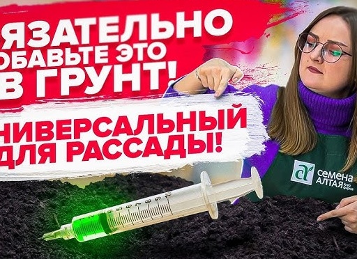 Как сделать грунт для рассады в домашних условиях. Чем заменить вермикулит в домашних условиях.