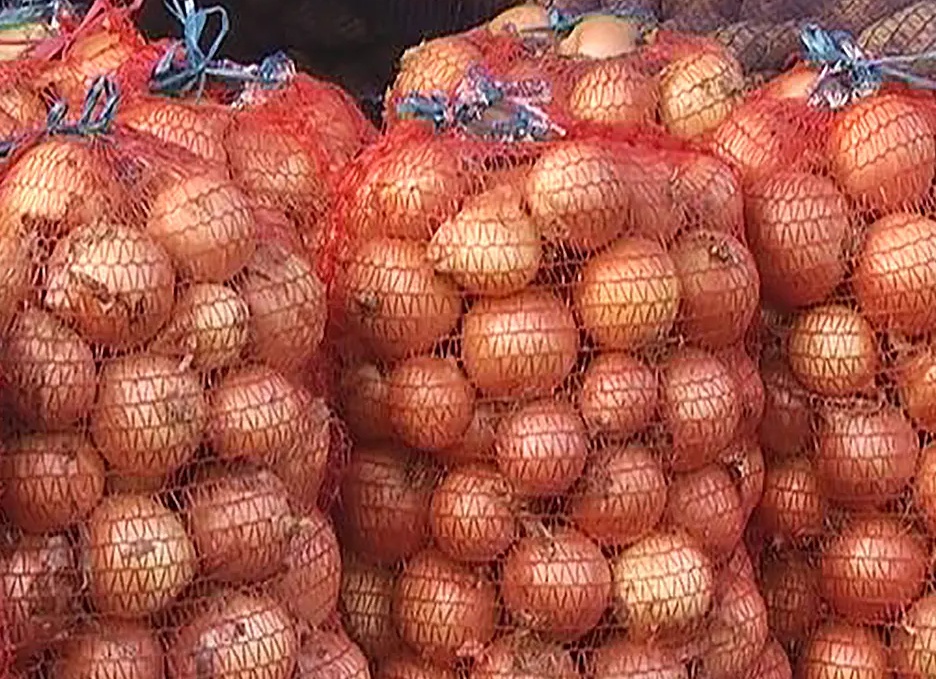 Хранение лука-севка до весны