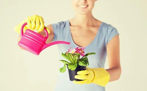 Женщина поливает цветок из розовой лейки