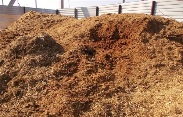 Глинистая почва на участке: как добиться хорошей урожайности. Как улучшить глинистую почву на участке. 3