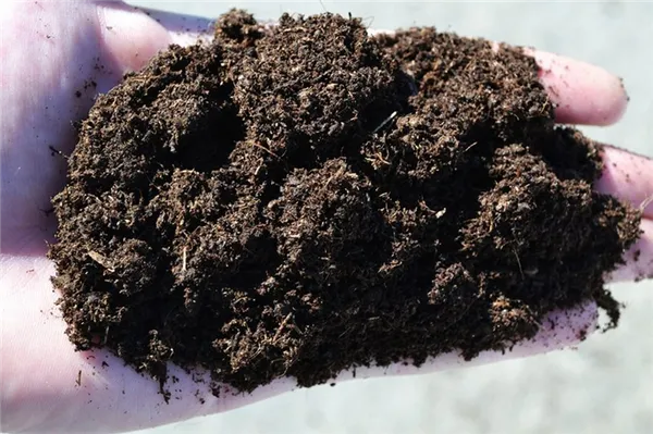 Глинистая почва на участке: как добиться хорошей урожайности. Как улучшить глинистую почву на участке. 2