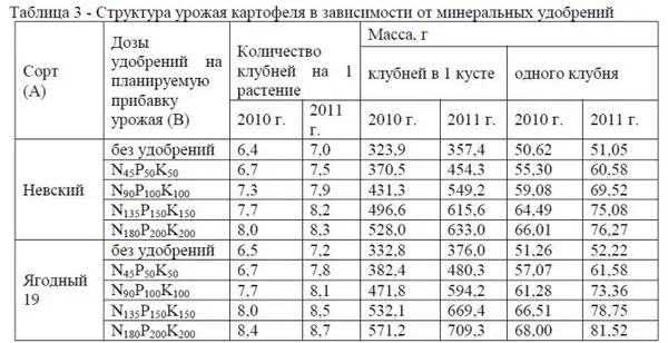 Средняя урожайность картофеля с гектара по регионам России. Сколько картошки можно собрать с 1 сотки. 5