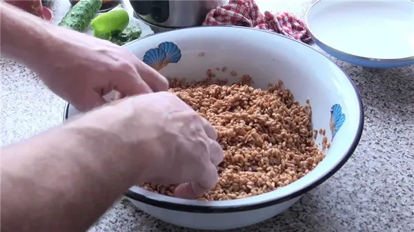Каким зерном кормить кур несушек