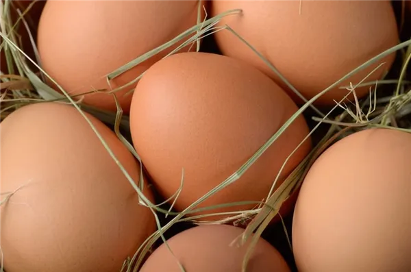 Могут ли куры нести яйца без петуха? Несут ли куры яйца без петуха. Как курицы несут яйца без петуха. 3