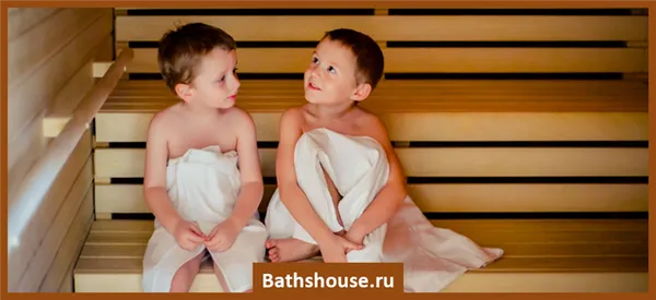 Отличие бани от сауны — признаки, особенности, советы и рекомендации. Чем отличается баня от сауны. 11