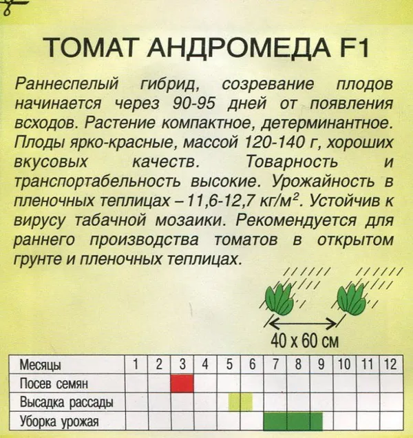 Лучшие сорта помидоров для открытого грунта и теплицы в Средней Полосе России. Томаты коктейльные что это. 9