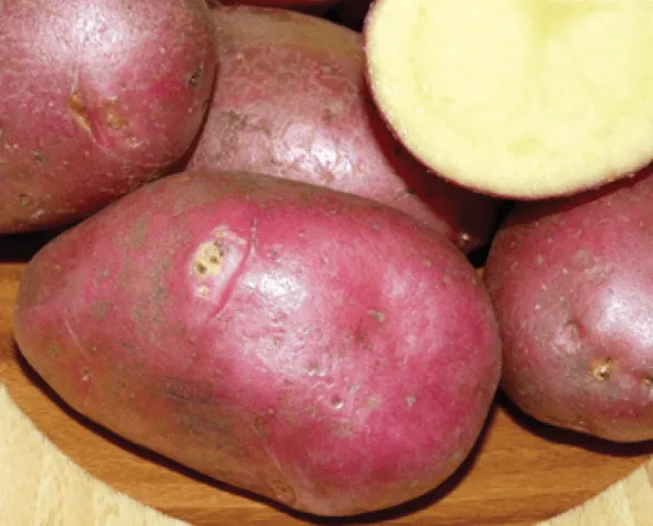 Три цвета картофеля. В чем отличия белых, желтых и красных клубней. Красный картофель для чего лучше использовать. 6