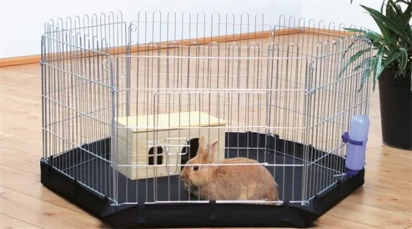 Клетки для декоративных кроликов: виды и советы по изготовлению и обустройству. Как обустроить клетку для кролика. 2