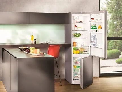 Холодильник Либхер в интерьере