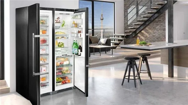 Обзор лучших моделей двухкамерных холодильников liebherr