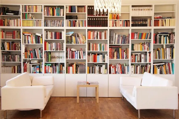 Современный книжный шкаф в гостиной: красиво, стильно и недорого