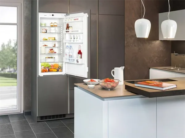 ТОП-15 лучших встраиваемых холодильников: Рейтинг 2022-2023 года. Как выглядит встроенный холодильник. 10