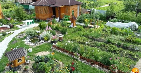 Удачная дача: идеи для благоустройства участка. Как обустроить сад и огород красиво с минимальными затратами. 6