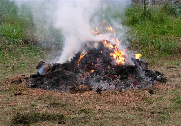 Новые правила сжигания мусора и установки мангалов на загородных участках. Как сжигать мусор на даче. 3