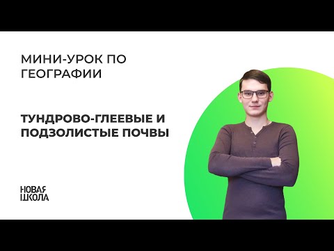 Территориальная классификация почв: слитные и тундровые почвы и чернозёмы 4