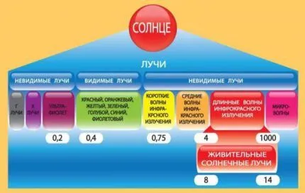 Инфракрасные обогреватели: виды, характеристики, достоинства и недостатки советы по выбору инфракрасных обогревателей 10