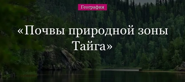 Почвы таежно-лесной зоны 13