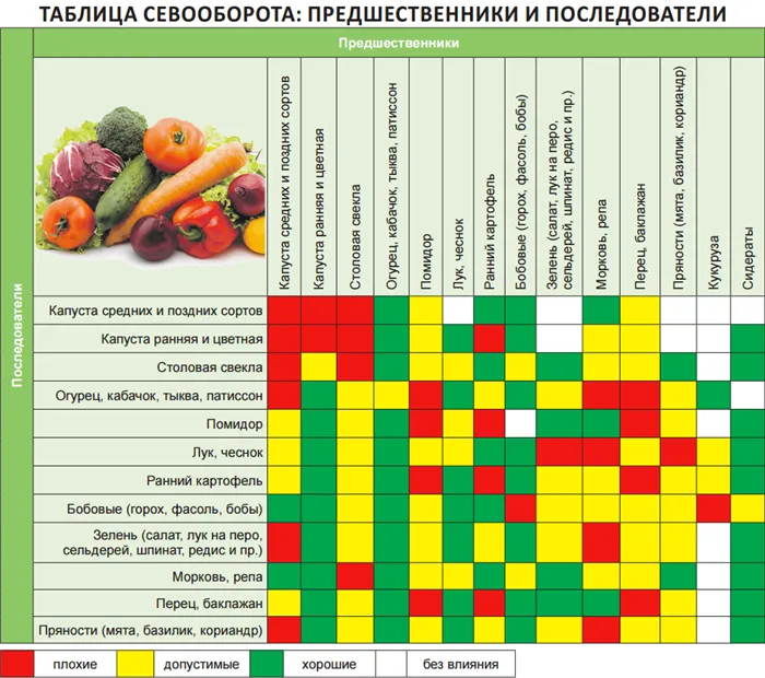 Огород без хлопот для пожилых и ленивых: не копать, не полоть, и не поливать