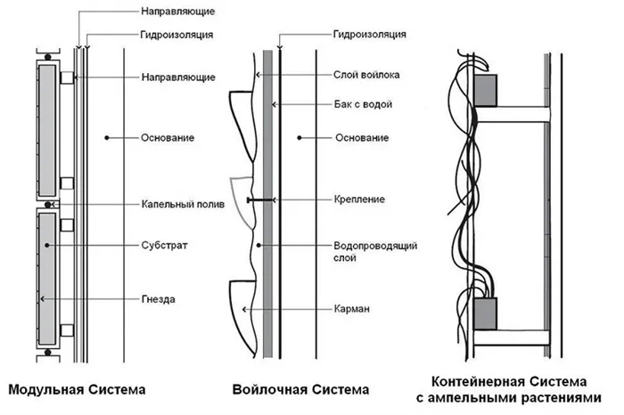 виды конструкций фитостен схема