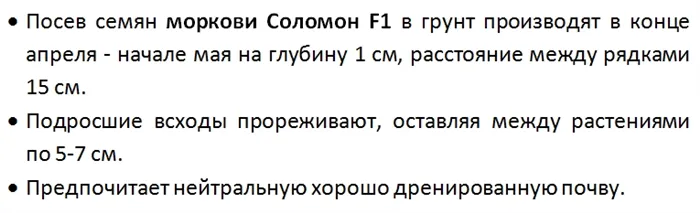 Морковь Соломон F1: отзывы, характеристика, урожайность, фото сорта, достоинства и недостатки, особенности выращивания 4