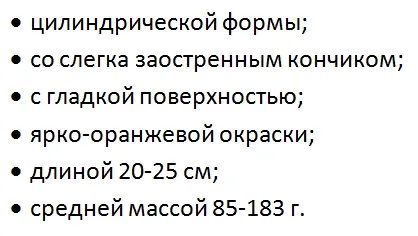 Морковь Соломон F1: отзывы, характеристика, урожайность, фото сорта, достоинства и недостатки, особенности выращивания 3