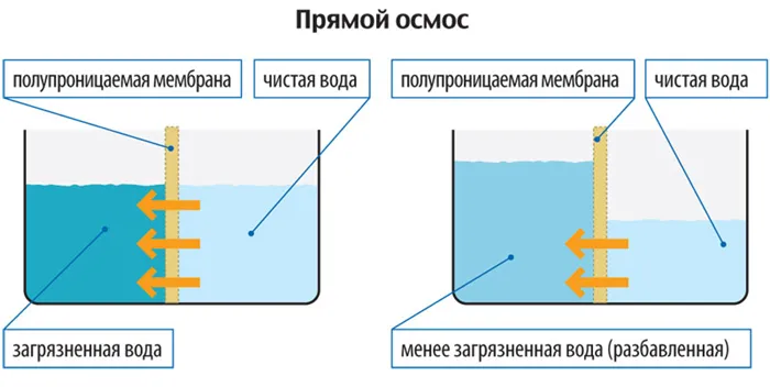 ob-osmose---prostym-yazykom