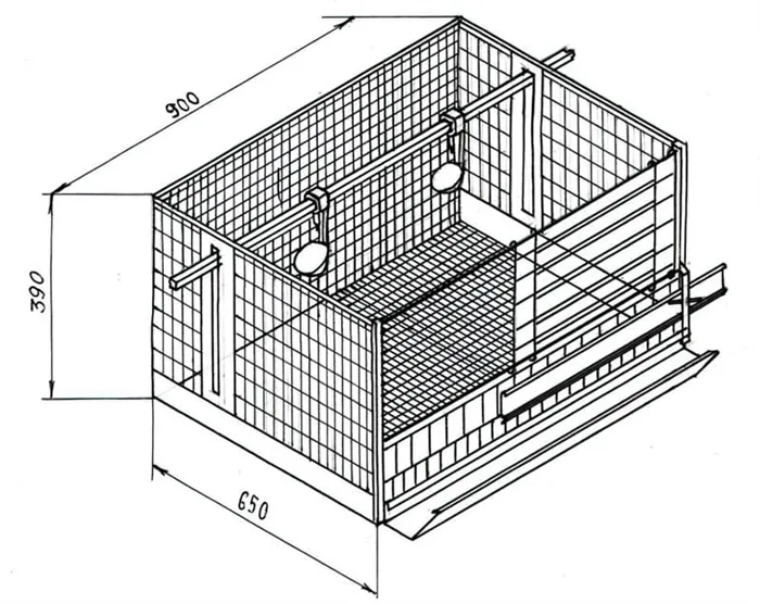 Один из вариантов самодельной клетки для молодняка