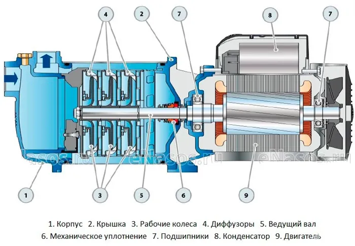 центробежный насос в разрезе