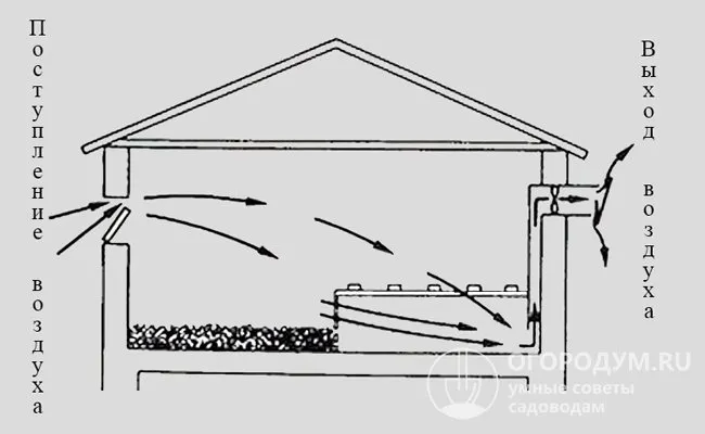 Схема естественной вентиляции в птичнике