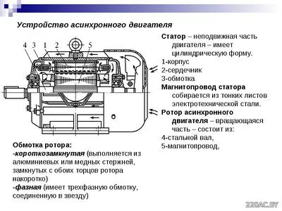 Устройство асинхронного двигателя