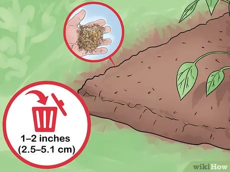 Step 3 Старайтесь не добавлять слишком много мульчи.