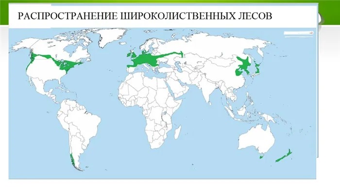 Зона смешанных и широколиственных лесов 3