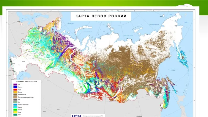 Зона смешанных и широколиственных лесов 4