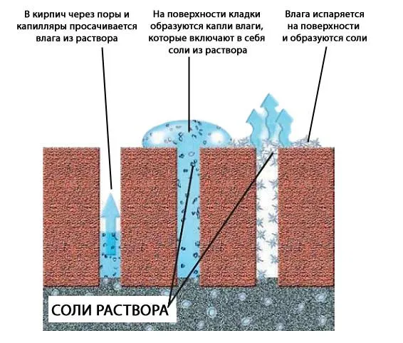 Высолы на кирпиче: причины, последствия, способы устранения 2