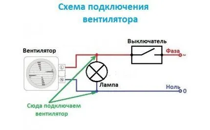 Вместе со светом