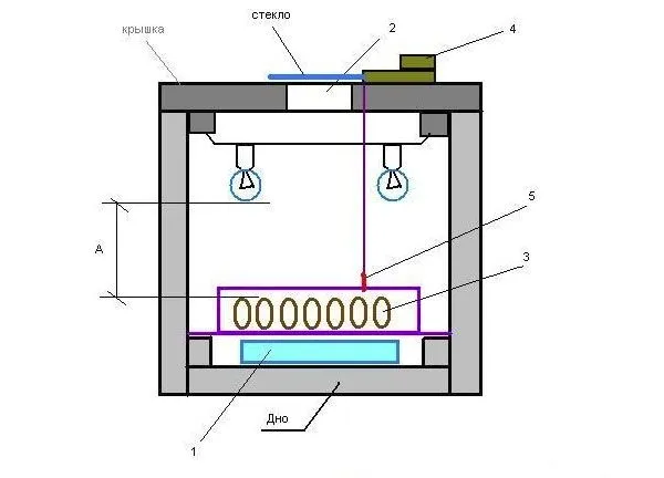 1 – резервуар с водой; 2 – смотровое окно; 3 – лоток с яйцами; 4 – терморегулятор; 5 – датчик