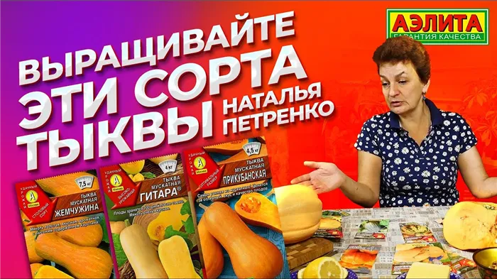 Как выбрать вкусную и сладкую тыкву 4